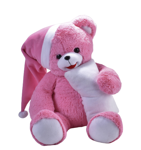Salaş Uykucu Ayı Pembe 75 Cm