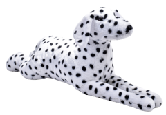 Dalmaçyalı Köpek 85 Cm