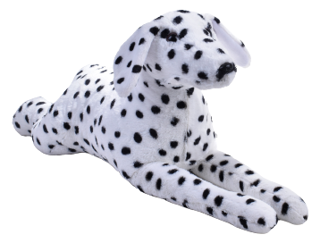 Dalmaçyalı Köpek 85 Cm