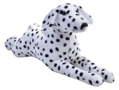 Dalmaçyalı Köpek 85 Cm